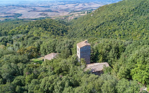 Villa Linchiano: Natural Environment, Nature, Landscape, Forest, Jungle, Ruins, Castle, Valdivian Temperate Rain Forest
