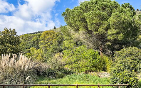 Accommodation:&nbsp;Giove 42.2