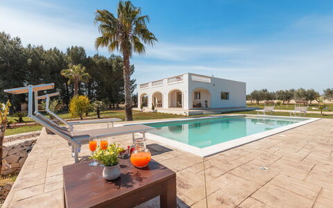 Villa Pallino: Architecture, Estate, Composite Material, Hacienda, Landscaping, Shade, Mansion, Villa, Design, Swimming Pool