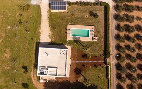 Villa Pallino: Residential Area, Landscape, Plain, Swimming Pool, Estate, Aerial Photography, Bird'S-Eye View, Landscaping, Lawn, Design