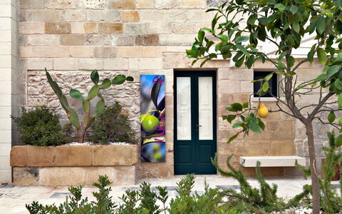 Masseria Capasa: Wall, Brick, Flowerpot, Flagstone, Garden, Stone Wall, Concrete, Brickwork, Houseplant, Shade