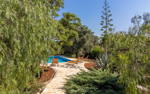 Villa San Vito: Shrub, Garden, Woody Plant, Shade, Landscaping, Backyard, Botanical Garden, Evergreen