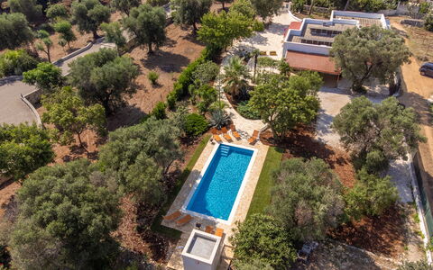 Villa San Vito: Tree, Landscape, Estate, Landscaping, Hacienda, Swimming Pool, Plantation, Aerial Photography, Villa