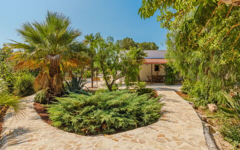 Villa San Vito: Shrub, Garden, Landscaping, Woody Plant, Shade, Hacienda, Driveway, Estate, Flagstone