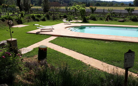 Appartamento Il Fienile Del Sole, Wifi, Perugia: Garden, Swimming Pool, Outdoor Furniture, Lawn, Shade, Backyard, Landscaping, Leisure, Park, Water Feature