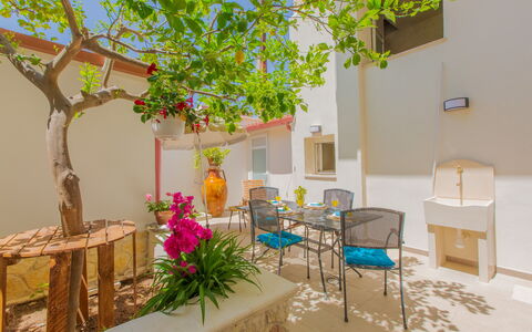 Casa Nonna Netta: Flowerpot, Houseplant, Chair, Outdoor Furniture, Wood Stain, Patio, Backyard, Hacienda, Courtyard, Floral Design