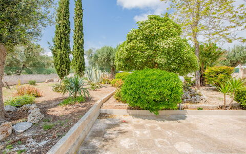 Villa Vera: Shrub, Garden, Plant Community, Groundcover, Woody Plant, Landscaping, Botanical Garden, Walkway, Shade