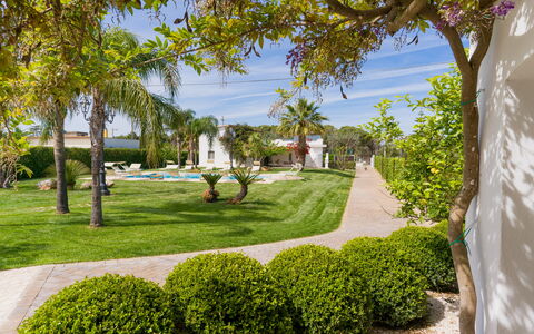 Ville Poggioreale: Blue, Tree, Garden, Shrub, Landscape, Lawn, Shade, Landscaping, Yard