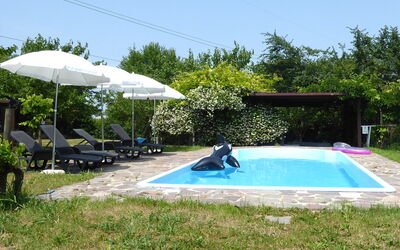 Silea Apartments, Pool, Garden, Treviso: Swimming Pool, Outdoor Furniture, Umbrella, Resort, Leisure, Furniture, Shade, Sunlounger, Eco Hotel, Chair