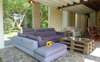 Andrea Apartment: Furniture, Couch, Living Room, Coffee Table, Chair, Outdoor Furniture, Shade, Hardwood
