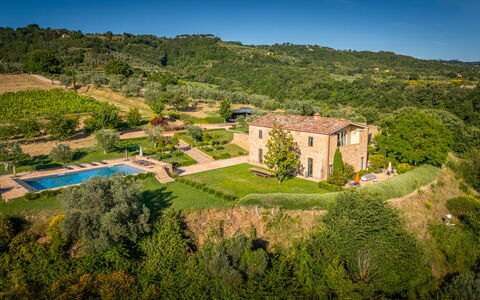 Podere Vigna Nuova: Estate, Food, Plantation, Agriculture, Swimming Pool, Villa, Farmhouse