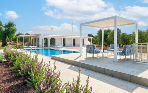 Villa Prestige: Swimming Pool, Shade, Outdoor Furniture, Composite Material, Outdoor Structure, Garden, Estate, Chair, Resort, Landscaping