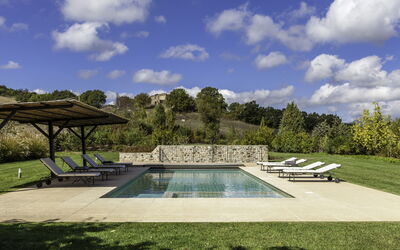 Podere Bella Vista: Swimming Pool, Garden, Groundcover, Outdoor Furniture, Landscaping, Shade, Flagstone, Lawn, Backyard, Sunlounger