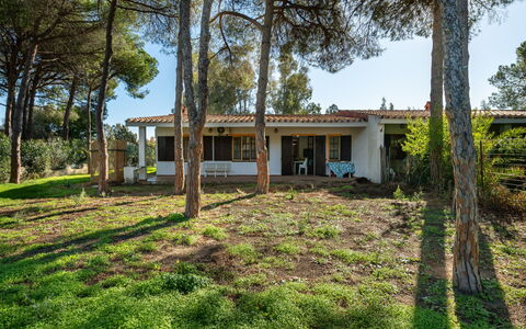 Villasimius 674: Tree, Grass, Leaf, Home, Shrub, House, Land Lot, Cottage, Estate