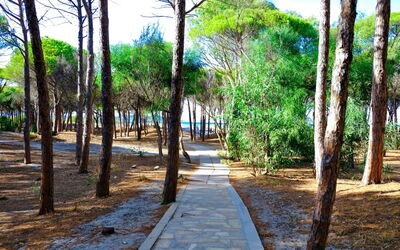 Selema Camping
