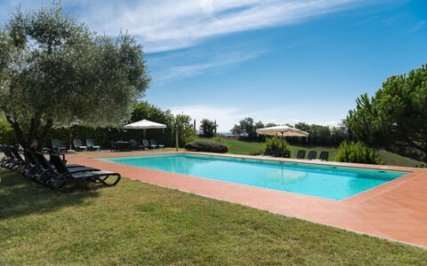 Country House In Tuscan Hills: Estate, Swimming Pool, Hacienda, Landscaping, Resort, Plantation, Eco Hotel, Villa, Farmhouse