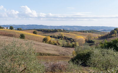 Villa L'elsa Beautiful Country Home With View