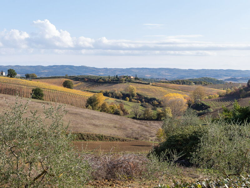 Villa L'elsa Beautiful Country Home With View