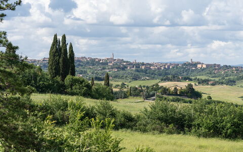 Capanna Di Elfo: Grass, Grassland, Vegetation, Horizon, Landscape, Ecoregion, Plain, Land Lot, Plant Community, Meadow