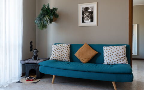 La Casa del Saggio: Furniture, Interior Design, Cushion, Couch, Floor, Flooring, Textile, Throw Pillow, Living Room, Room