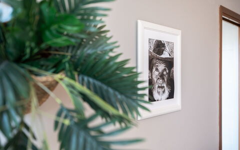 La Casa del Saggio: Wall, Interior Design, Picture Frame, Flowerpot, Home, Room, Houseplant, Vase, Paint, Living Room