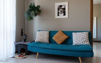 La Casa del Saggio: Furniture, Interior Design, Cushion, Couch, Floor, Flooring, Textile, Throw Pillow, Living Room, Room