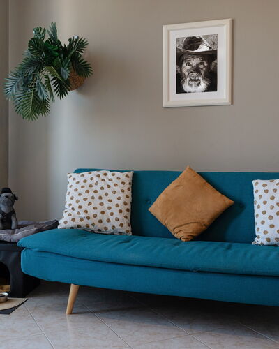 La Casa del Saggio: Furniture, Interior Design, Cushion, Couch, Floor, Flooring, Textile, Throw Pillow, Living Room, Room