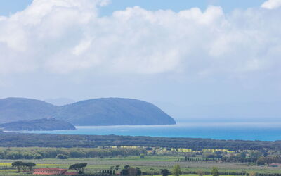 Accommodation:&nbsp;Basilico 450.1