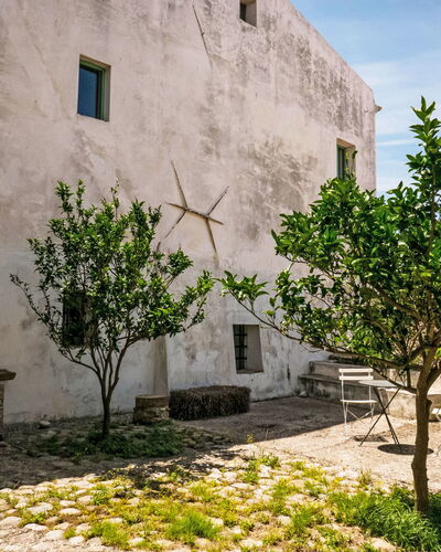 Centro: Wall, Garden, Courtyard, Flowerpot, Landscaping, Hacienda, Houseplant, Walkway, Flagstone