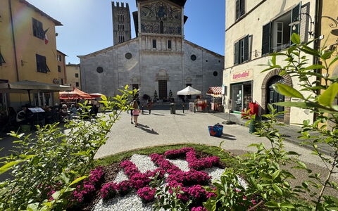 Anna: Building, Window, Town, Facade, Flowerpot, Umbrella, Outdoor Table, Outdoor Furniture, Town Square, Houseplant