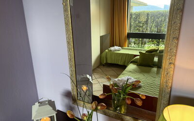 Alfa 3: Interior Design, Furniture, Lighting, Mirror, Floor, Room, Glass, Houseplant, Picture Frame, Living Room