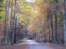 Design Loft, Romantic Retreat, Feltre