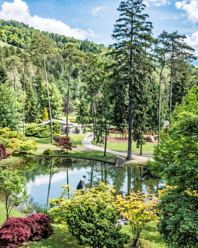 Terme di Comano 103: Tree, Nature, Vegetation, Natural Landscape, Landscape, Shrub, Garden, Botanical Garden, Larch, Forest