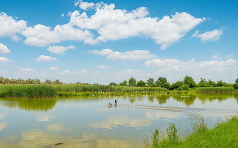 Venice Photobirding, Nature And Culture: Sky, Blue, Water, Water Resources, Nature, Natural Environment, Green, Natural Landscape, Cloud, Marsh