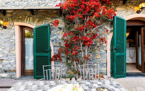 La Bouganville - Rustico con Giardino: Furniture, Table, Outdoor Table, Outdoor Furniture, Chair, Garden, Shade, Flowerpot, Landscaping, Kitchen & Dining Room Table