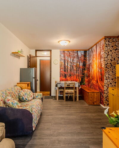Boris: Wood, Interior Design, Furniture, Flooring, Ceiling, Floor, Room, Apartment, Living Room, Wood Stain