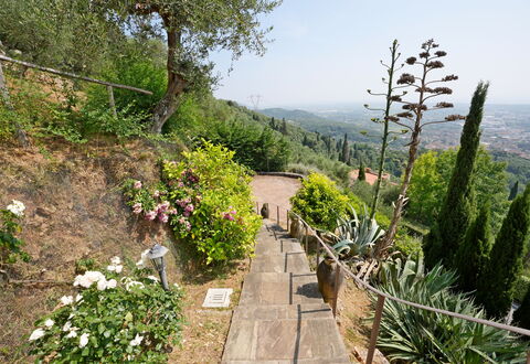 Uno Sguardo sul Mare: Vegetation, Shrub, Landscape, Plant Community, Garden, Groundcover, Walkway, Trail, Botanical Garden