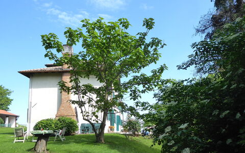 Casa Ballo delle Streghe, Garden, Montebelluna: Lawn, Garden, Shade, Yard, Backyard, Landscaping, Farmhouse
