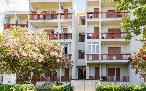 Altamarea Apartment: Daytime, Apartment, Condominium, Balcony