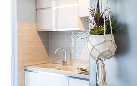 Altamarea Apartment: Interior Design, Flowerpot, Kitchen, Flooring, Floor, Houseplant, Countertop, Room, Vase, Cabinetry
