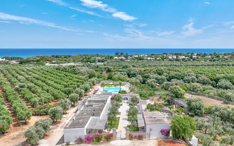 Masseria Lamagrotte By Raro Rooms: Resort, Estate, Landscaping, Plantation, Bird'S-Eye View, Swimming Pool, Eco Hotel, Aerial Photography, Resort Town, Hacienda