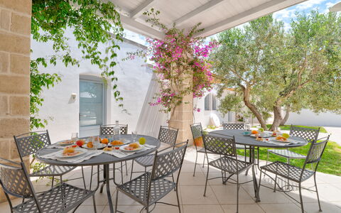 Masseria Lamagrotte By Raro Rooms: Furniture, Chair, Table, Outdoor Furniture, Kitchen & Dining Room Table, Outdoor Table, Flowerpot, Patio, Restaurant, Garden