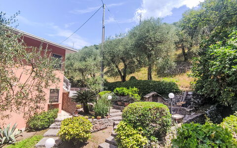 La Casa di Silvia: Shrub, Garden, Plant Community, Groundcover, Spring, Landscaping, Yard, Backyard, Botanical Garden