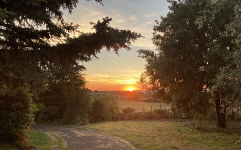 Villa Ginevra: Sun, Leaf, Branch, Tree, Nature, Grass, Natural Landscape, Sunset, Sunrise
