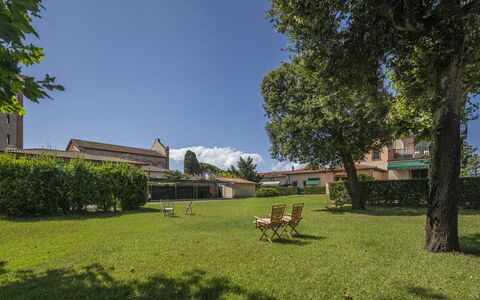 Attico Marino: Grass, Tree, Shrub, Landscape, Land Lot, Garden, Lawn, Groundcover, Shade