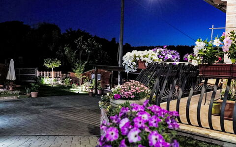 Le Rondini: Night, Flowerpot, Garden, Floristry, Midnight, Landscaping, Houseplant, Landscape Lighting, Yard