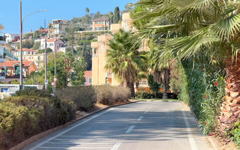 Casa Francy - Arma Di Taggia: Tree, Road Surface, Road, Vegetation, Residential Area, Thoroughfare, Asphalt, Street, Lane