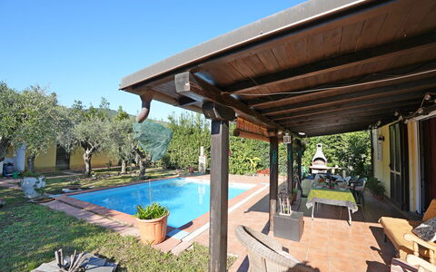 La Sevillana: Shade, Swimming Pool, Resort, Outdoor Structure, Porch, Flowerpot, Eco Hotel, Hacienda, Backyard, Patio