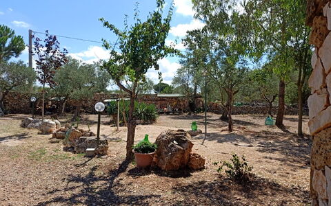 Borgo Incanto: Tree, Landscape, Soil, Trunk, Woody Plant, Garden, Shade, Landscaping, Backyard, Path