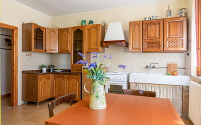 Accommodation:&nbsp;Alfa Apartment